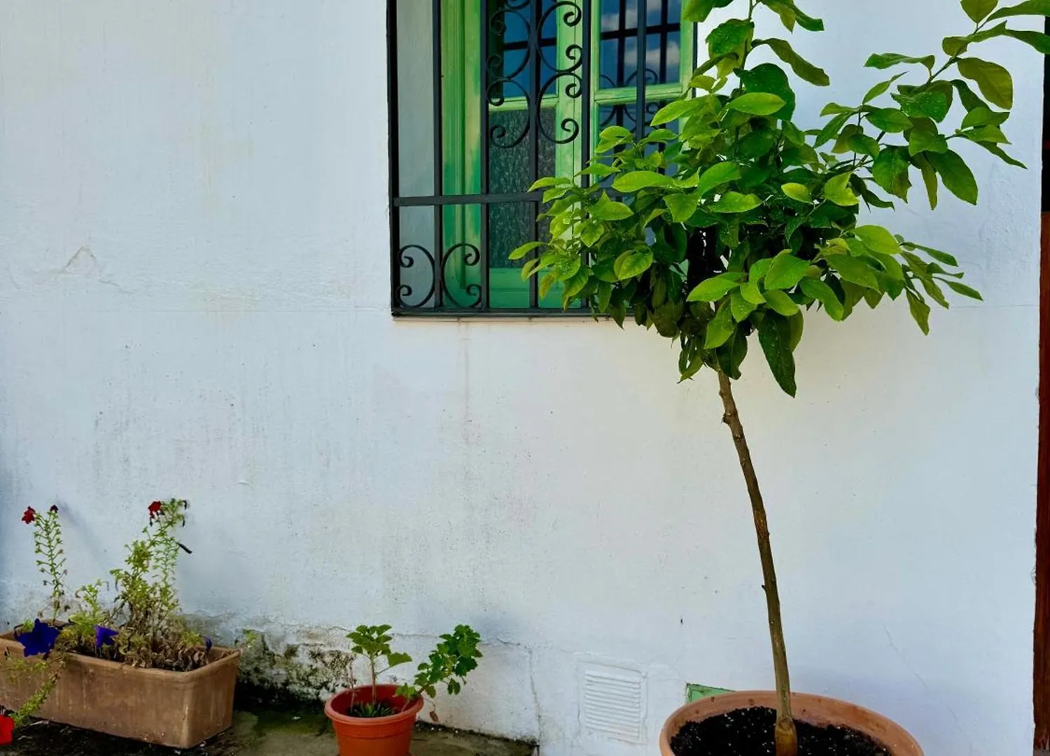 Villa Casa Leon Montejaque 0*,